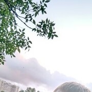  -,   , 35 ,   ,   