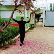  ,   , 36 ,   ,   