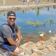 ���������� ���������, ���� ������� ��������, 46 ���, ������������ ��� c�������� ���������, ���������