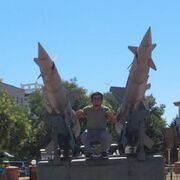 ���������� �����������, ���� ����� ����, 24 ����, ������������ ��� ������, ����� � ���������