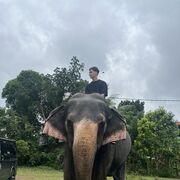 ���������� ������������, ���� ����� ������, 21 ���, ������������ ��� ������, ����� � ���������, ���������