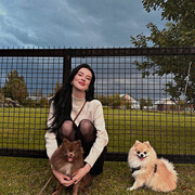 ���������� ���������, ����