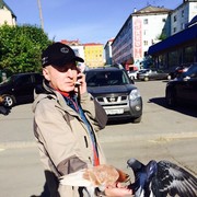  ,   , 55 ,   ,   , c 