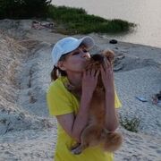 ���������� ������, ���� ������� �������, 54 ����, ������������ ��� c�������� ���������, ���������