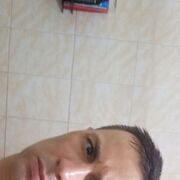 ���������� �����������, ���� ������� Adekvat, 41 ���, ������������ ��� ������, ���������