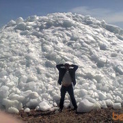  ,   Egorik, 39 ,   