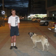 ���������� �����-���������, ���� ������� ����, 37 ���, ������������ ��� ������