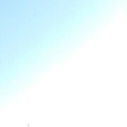 ���������� �����������, ���� ������� ���, 31 ���, ������������ ��� ������, ����� � ���������