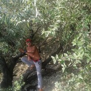 ���������� �����-���������, ���� ������� ������, 36 ���, ������������ ��� ������, ����� � ���������