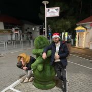 ���������� ������������, ���� ������� �������, 28 ���, ������������ ��� ������, ����� � ���������, c�������� ���������