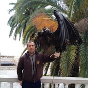 ���������� ������, ���� ������� ���������, 47 ���, ������������ ��� ������, ����� � ���������