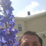 ���������� ������, ���� ������� �����, 50 ���, ������������ ��� ������, ����� � ���������, c�������� ���������