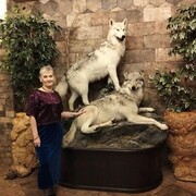 ���������� ������, ���� ������� �����, 61 ���, ������������ ��� c�������� ���������