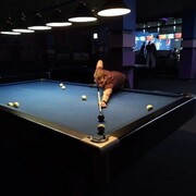  ,   , 33 ,   ,   