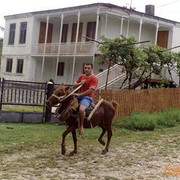  ,   Benji, 81 ,   ,   , c 
