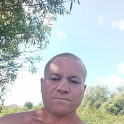  ,   , 46 ,   ,   