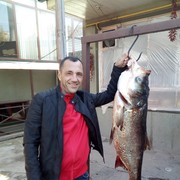  ,   , 50 ,   