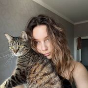 ���������� ���������, ����