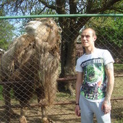 ���������� ������-��-����, ���� ������� ����, 43 ����, ������������ ��� ������