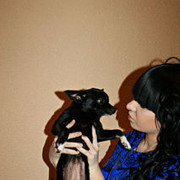 ���������� �������, ���� ������� �___________, 32 ����, ������������ ��� ����� � ���������, c�������� ���������