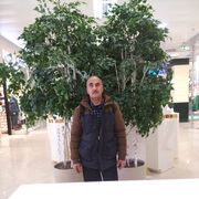  ,   , 55 ,   ,   