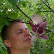 ���������� ����, ���� ������� ����, 41 ���, ������������ ��� ������