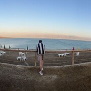 ���������� Frankfurt am Main, ���� ����� ����, 24 ����, ������������ ��� ������, ����� � ���������