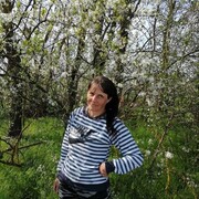 ���������� ���������, ���� ������� ���, 38 ���, ������������ ��� ����� � ���������, ���������