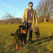 ���������� �������, ���� ������� David, 46 ���, ������������ ��� ������, ����� � ���������, c�������� ���������