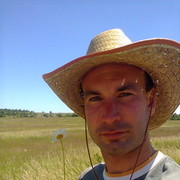 ���������� ����������, ���� ������� �������, 41 ���, ������������ ��� ������