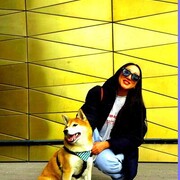 ���������� ������, ������