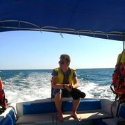  ,   Dimon, 29 ,   ,   , c , 