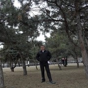 ���������� ��������������, ���� ������� ������, 41 ���, ������������ ��� ������