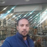 ���������� Al Ghardaqah, ���� ������� Ahmed, 37 ���, ������������ ��� ������, ����� � ���������, c�������� ���������