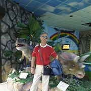 ���������� ���, ���� ������� �����, 55 ���, ������������ ��� ������, ����� � ���������