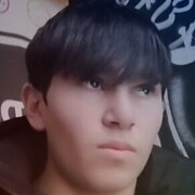 ���������� ������, ���� ������� ZAFARBEK, 31 ���, ������������ ��� ������, ����� � ���������, c�������� ���������, ���������