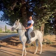 ���������� ���������, ���� ������� ������, 27 ���, ������������ ��� ������, ����� � ���������, c�������� ���������, ���������