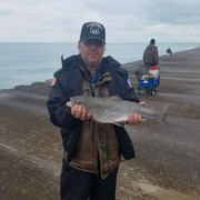  ,   , 55 ,   