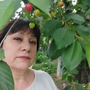  ,   , 63 ,     , c 