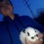 ���������� ���������, ���� ������� ����, 31 ���, ������������ ��� ������, ����� � ���������, c�������� ���������