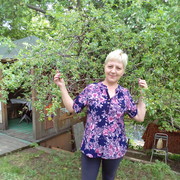 ���������� ����������, ���� ������� �����, 58 ���, ������������ ��� ������, ����� � ���������, c�������� ���������