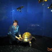 ���������� �����-���������, ���� ������� ����, 61 ���, ������������ ��� ������, ����� � ���������, c�������� ���������