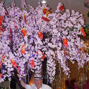 ���������� �����������, ���� ������� ������, 61 ���, ������������ ��� ����� � ���������, c�������� ���������