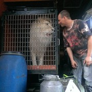 ��� ������)))