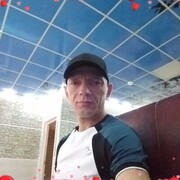  -,   Vladimir, 50 ,     , c 