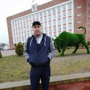 ���������� ��������, ���� ������� �����, 43 ����, ������������ ��� ����� � ���������, c�������� ���������