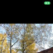 ���������� ������, ���� ����� ����, 21 ���, ������������ ��� ������, ����� � ���������, c�������� ���������