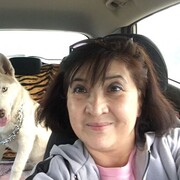 ���������� ���, ���� ������� ��, 57 ���, ������������ ��� c�������� ���������