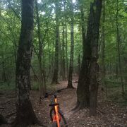 ���������� ������, ���� ������� ��������, 30 ���, ������������ ��� ������, ����� � ���������