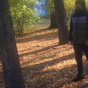 ���������� �����, ���� ������� �����, 43 ����, ������������ ��� ������, ���������